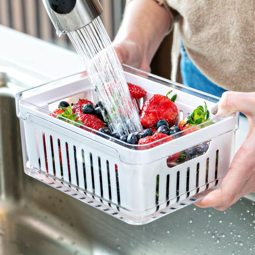 OU OF450NT Organizador de Geladeira com Escorredor Interno, 2,2 L - Caixa Plástica para Legumes, Saladas