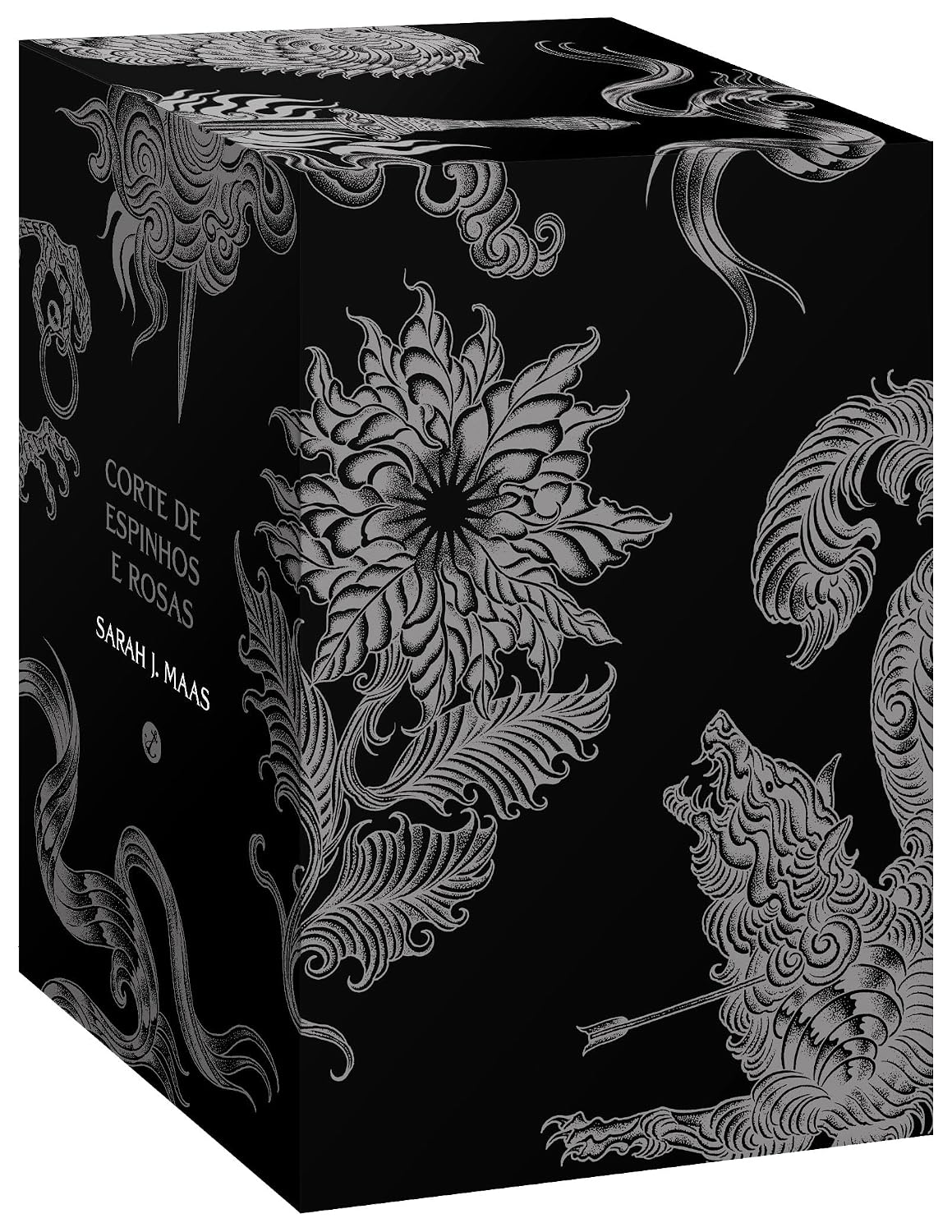 Box Corte de Espinhos e Rosas - Sarah J. Maas (Novas Capas com Marcadores)
