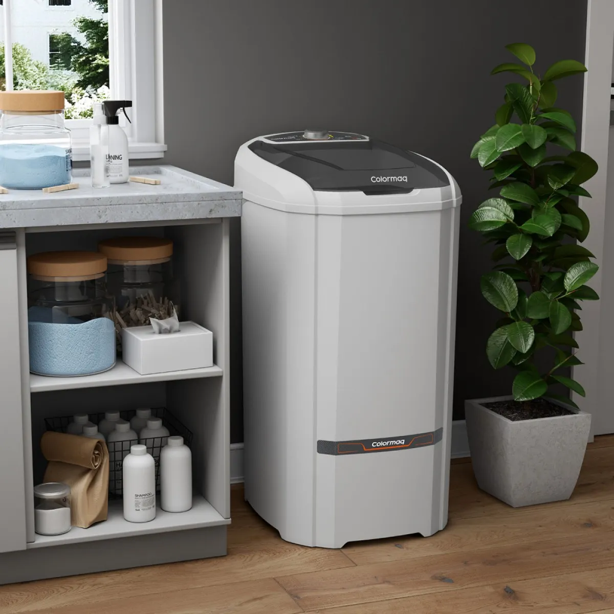 Tanquinho Colormaq Lavadora Roupas Semi-automática Lcs 10kg - Bivolt 110V/220V