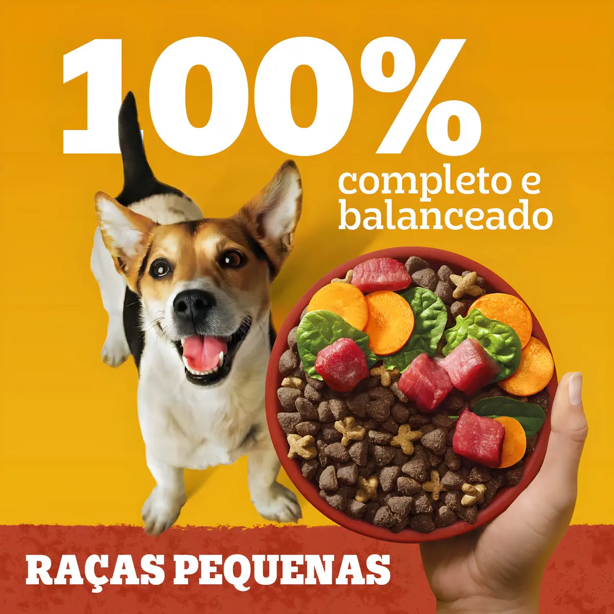 Alimento Pedigree Cães Adultos Raças pequenas para cão adulto de raza pequena sabor carne y vegetais de 15 kg